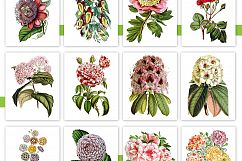 Entire Vintage Collection -Over 1000 Illustrations Product Image 11