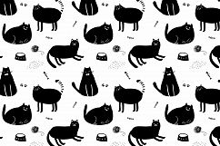 Black cat and pineapples Product Image 10