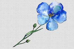 Wildflower blue flax PNG watercolor set Product Image 6