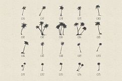 227 hand drawn palms + BONUS Product Image 8