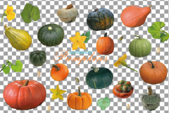 Watercolor pumpkin clip art pack, Pumpkin plant and flowers Product Image 2