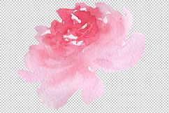 Delicate colorful peony PNG watercolor set Product Image 4