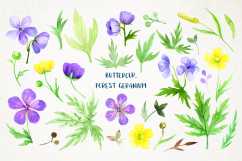 Wild flowers 2. Watercolor set. Product Image 10