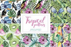 Watercolor Tropical Patterns Product Image 5