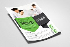 Business Analyst Flyer Template Product Image 2