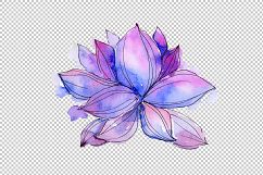 Aquarelle lotus flowers PNG set Product Image 4