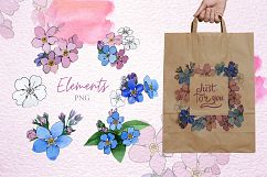 Forget-me-nots flowers PNG watercolor set Product Image 5