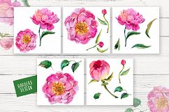 Paradise pink peonies PNG watercolor set Product Image 2