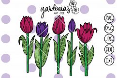 Tulips Bundle Product Image 1