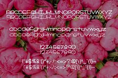 Peonies in Bloom Product Image 2
