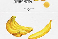 Watercolor Fruits Vol. 2 Product Image 7