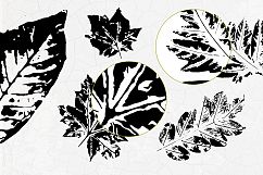 Autumn collection Product Image 6