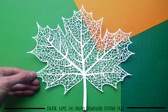 Leaf paper cut SVG / DXF / EPS files Product Image 1