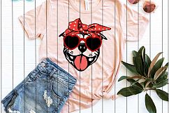 Bulldog With Bandana Product Image 2