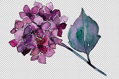 Hydrangea purple and blue PNG watercolor set Product Image 3