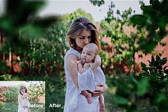 42 Green Tree Branch Photo Overlays Product Image 2