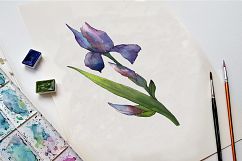 Orange and purple irises PNG watercolor set Product Image 8