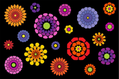 Flower Petal Brushes Product Image 2