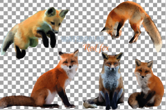 Red Fox Watercolor clip art, woodland watercolor fox, png Product Image 2