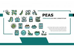 Peas Beans Vegetable Landing Header Vector Product Image 1