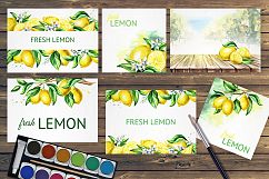 Fresh Lemon. Watercolor collection Product Image 8