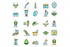 Aloe vera icon set line color vector Product Image 1