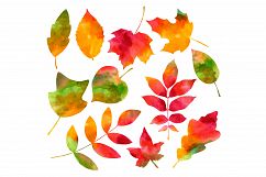 Watercolor Autumn Leaves Product Image 2