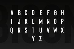 Bison - A powerful font Product Image 12