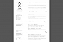 Minimalistic Resume Template Product Image 2
