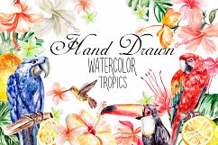 Hand Drawn watercolor TROPICS Product Image 1