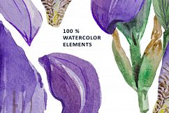 Violet Set Product Image 6