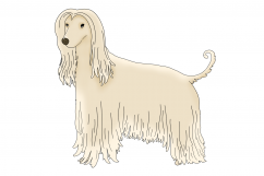Dogs Part 2 | CLIP ART illustrations PNG images Product Image 6