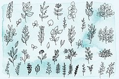 Botanic Natural Elements Product Image 2