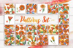 Cool orange gazania PNG watercolor set Product Image 4