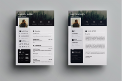 resume Product Image 2