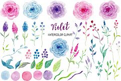 Watercolor Clipart Violet Collection  Product Image 2