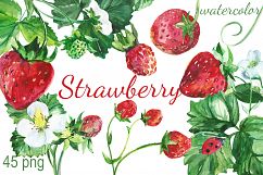 Watercolor Strawberry Clip art Product Image 1