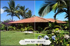 Blend Modes Profiles LR7.3 ACR10.3 Product Image 13