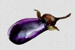 Purple eggplant vegetables PNG watercolor set Product Image 6