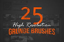 25 High Resolution Grunge Brushes Product Image 1