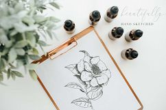 Botanical Illustrations Vol.1 Product Image 5