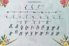 Faranisa Script Product Image 5