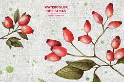 Watercolor Christmas cliparts Product Image 3