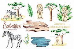 Savanna animal &amp; Tropical clipart Product Image 3