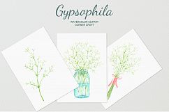 Hand painted watercolor clipart white baby&#039;s breath, gypsophila Product Image 6