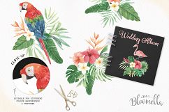 Watercolor Tropical Clipart Bouquets Aloha Flamingo Toucan Parrot Flowers Product Image 6