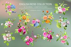 Isolated Rose Bundle  Product Image 2