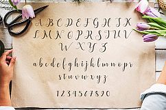 Alyshia Script Product Image 2