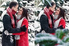 51 Christmas Tree Brunch Overlays Product Image 6