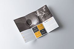 Multiuse Business Trifold Brochure Template Product Image 4